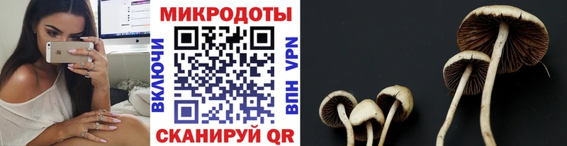 Псилоцибиновые грибы ЛСД  блэк спрут как зайти  Рославль 